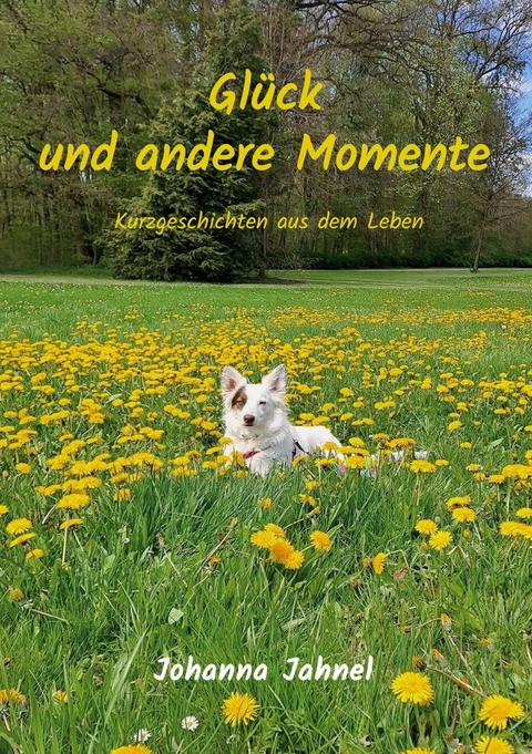 Gl&uuml;ck und andere Momente - Johanna Jahnel