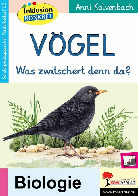 V&ouml;gel -  Anni Kolvenbach