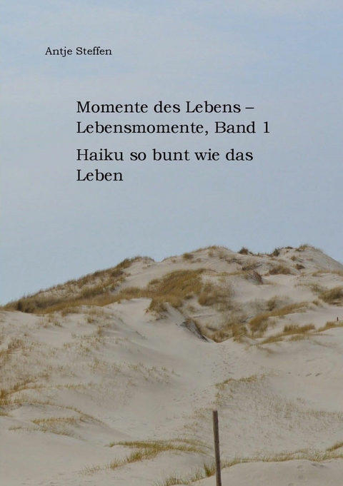 Momente des Lebens - Lebensmomente, Band 1 -  Antje Steffen