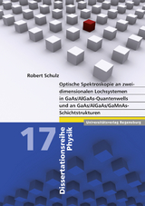 Optische Spektroskopie an zweidimensionalen Lochsystemen - Robert Schulz