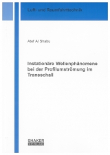 Instationäre Wellenphänomene bei der Profilumströmung im Transschall - Atef Al Shabu