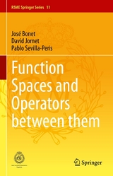 Function Spaces and Operators between them - Jos&eacute; Bonet, David Jornet, Pablo Sevilla-Peris