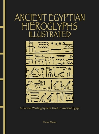 Ancient Egyptian Hieroglyphs Illustrated