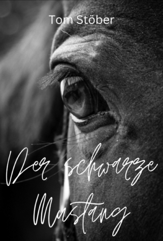 Der schwarze Mustang