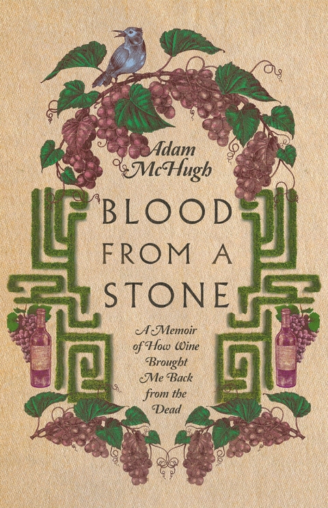 Blood From a Stone -  Adam S. McHugh