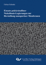 Einsatz polykristalliner Nickelbasis-Legierungen zur Herstellung nanopor&ouml;ser Membranen - Fabian Schmitz
