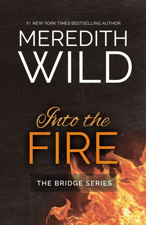 Into the Fire -  Meredith Wild