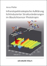Infrarotspektroskopische Aufkl&auml;rung lichtinduzierter Struktur&auml;nderungen im Blaulichtsensor Phototropin - Anna Pfeifer