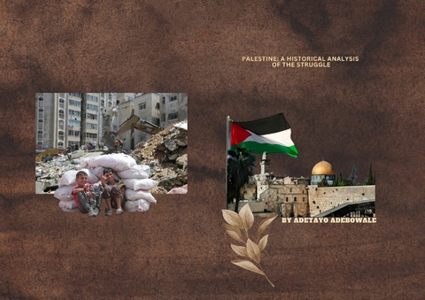 Palestine: A Historical Analysis of the Struggle -  Adebowale Adetayo