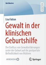 Gewalt in der klinischen Geburtshilfe -  Lisa Fabian