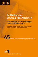Leitfaden zur Pr&uuml;fung von Projekten - Robert D&uuml;sterwald, Ulrich Schwarz, Kai Trinkaus, Michael Peis, Susanne Fries-Palm