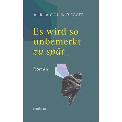Es wird so unbemerkt zu sp&auml;t - Ulla Coulin-Riegger
