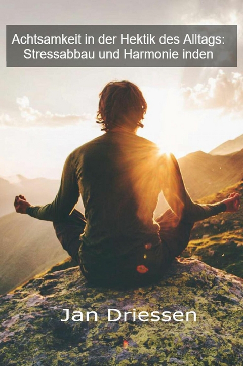 Achtsamkeit in der Hektik des Alltags: Stressabbau und Harmonie - Jan Driessen