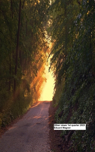 Other views 1st quarter 2023