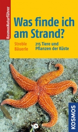 Was finde ich am Strand? - Annegret B&auml;uerle, Heinz Streble