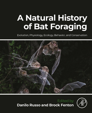 Natural History of Bat Foraging