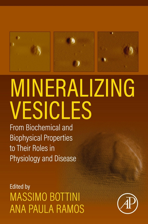 Mineralizing Vesicles - 