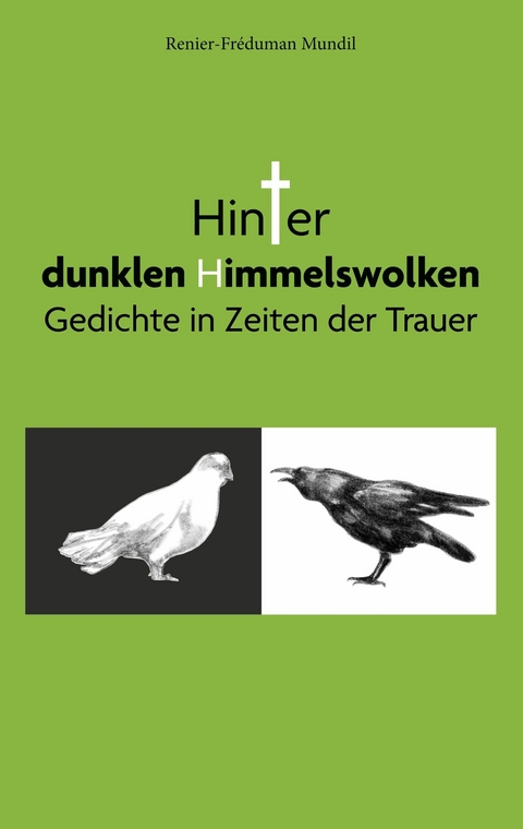 Hinter dunklen Himmelswolken - Renier-Fr&eacute;duman Mundil