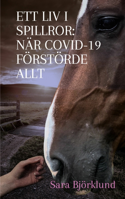 Ett liv i spillror: N&auml;r covid-19 f&ouml;rst&ouml;rde allt - Sara Bj&ouml;rklund