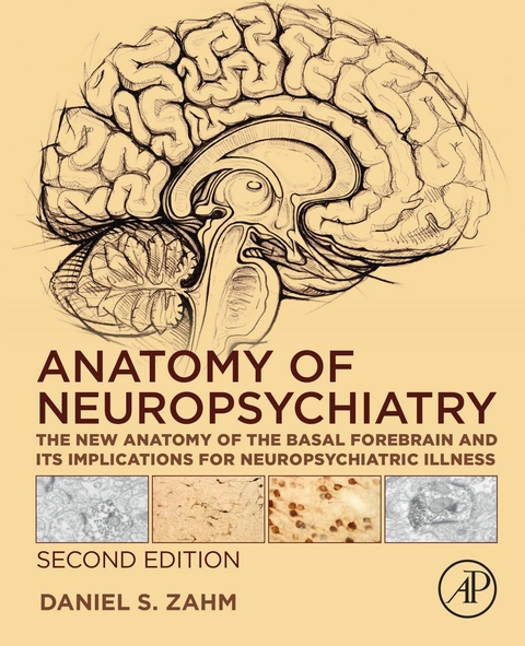 Anatomy of Neuropsychiatry -  Daniel S. Zahm