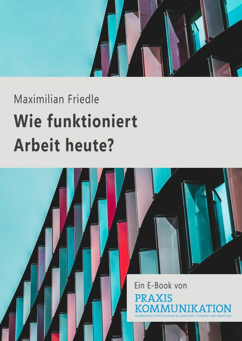 Wie funktioniert Arbeit heute? - Maximilian Friedl