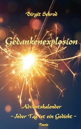 Gedankenexplosion - Birgit Schrod