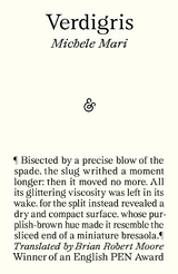 Verdigris -  Michele Mari