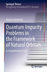 Quantum Impurity Problems in the Framework of Natural Orbitals -  Maxime Debertolis