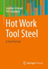 Hot Work Tool Steel -  Joachim Schlegel,  Till Schneiders