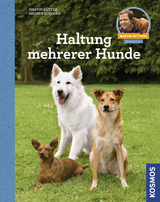 Haltung mehrerer Hunde - Martin R&uuml;tter, Andrea Buisman