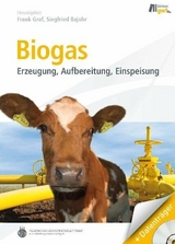 Biogas - 