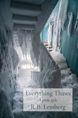 Everything Thaws -  R. B. Lemberg