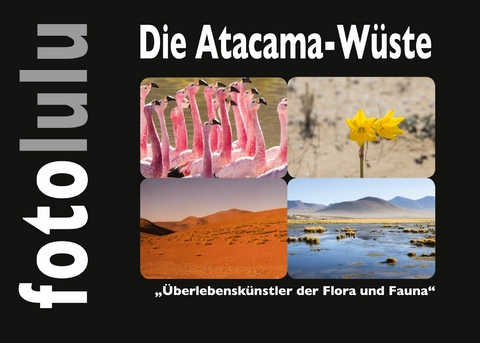 Die Atacama-W&uuml;ste - Sr. fotolulu