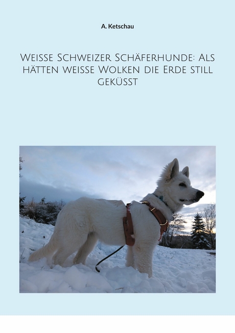 Weiße Schweizer Schäferhunde: Als hätten weiße Wolken die Erde still geküsst - A. Ketschau