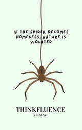 If the Spider Becomes Homeless, Nature Is Violated -  J Y Opoku