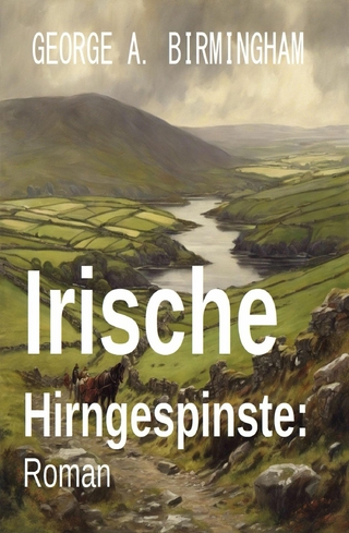 Irische Hirngespinste: Roman