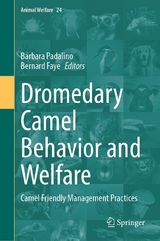 Dromedary Camel Behavior and Welfare - 