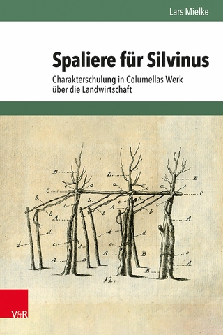 Spaliere für Silvinus