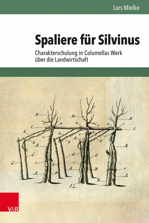 Spaliere f&uuml;r Silvinus -  Lars Mielke