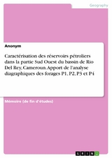 Caract&eacute;risation des r&eacute;servoirs p&eacute;troliers dans la partie Sud Ouest du bassin de Rio Del Rey, Cameroun. Apport de l'analyse diagraphiques des forages P1, P2, P3 et P4