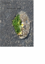 Mit Haiku durch das Jahr -  Antje Steffen