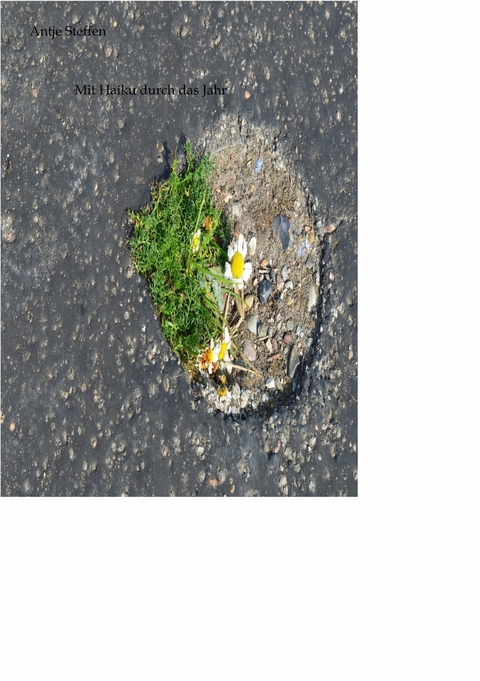 Mit Haiku durch das Jahr -  Antje Steffen