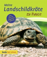 Meine Landschildkr&ouml;te zu Hause - Gerti Keller, Eva-Grit Schneider