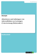 Abisolieren und Anbringen von Aderendh&uuml;lsen an Leitungen (Unterweisung Elektroniker) -  ananym