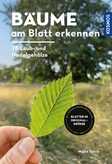 B&auml;ume am Blatt erkennen - 78 Laub- und Nadelgeh&ouml;lze. Bl&auml;tter in Originalgr&ouml;&szlig;e - Meike Bosch