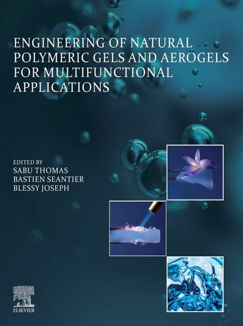 Engineering of Natural Polymeric Gels and Aerogels for Multifunctional  Applications - 
