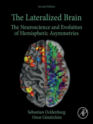 Lateralized Brain