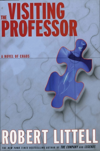 Visiting Professor