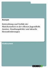 Entwicklung und Vielfalt der M&auml;dchenarbeit in der offenen Jugendhilfe. Ans&auml;tze, Handlungsfelder und aktuelle Herausforderungen -  Anonym