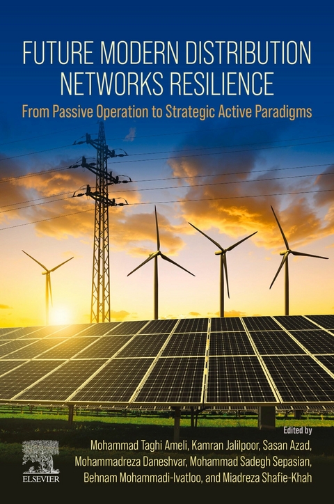 Future Modern Distribution Networks Resilience - 